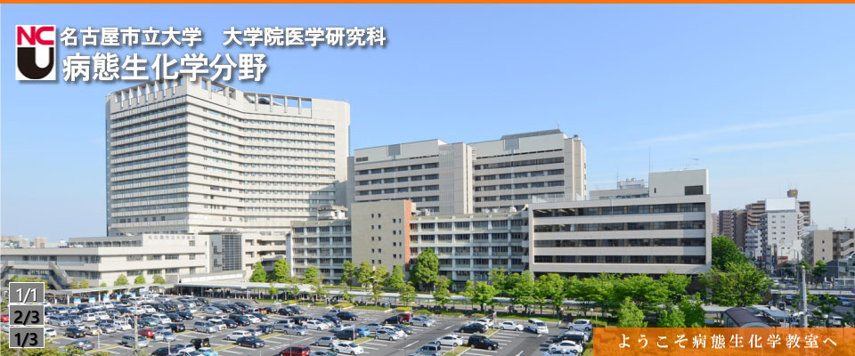 病態生化学分野