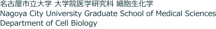 細胞生化学 名古屋市立大学大学院医学研究科・医学部