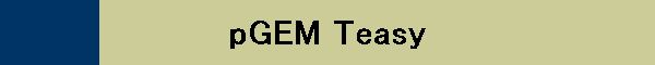 pGEM Teasy