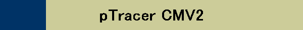 pTracer CMV2