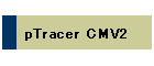 pTracer CMV2