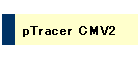 pTracer CMV2