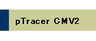 pTracer CMV2
