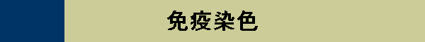 ƉuF