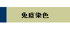 ƉuF