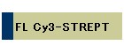 FL Cy3-STREPT