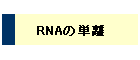 RNA̒P