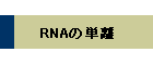 RNA̒P