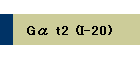 G t2 (I-20)