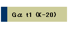 G t1 (K-20)