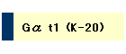 G t1 (K-20)
