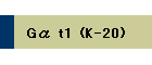 G t1 (K-20)