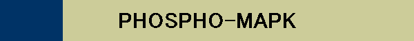 PHOSPHO-MAPK