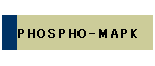 PHOSPHO-MAPK