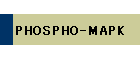 PHOSPHO-MAPK