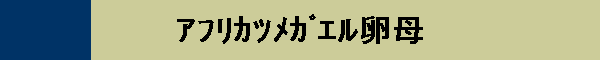 ضҶ޴ٗ