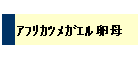 ضҶ޴ٗ