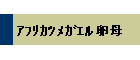 ضҶ޴ٗ