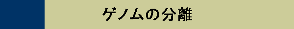 Qm̕