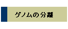 Qm̕