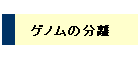 Qm̕