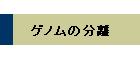 Qm̕