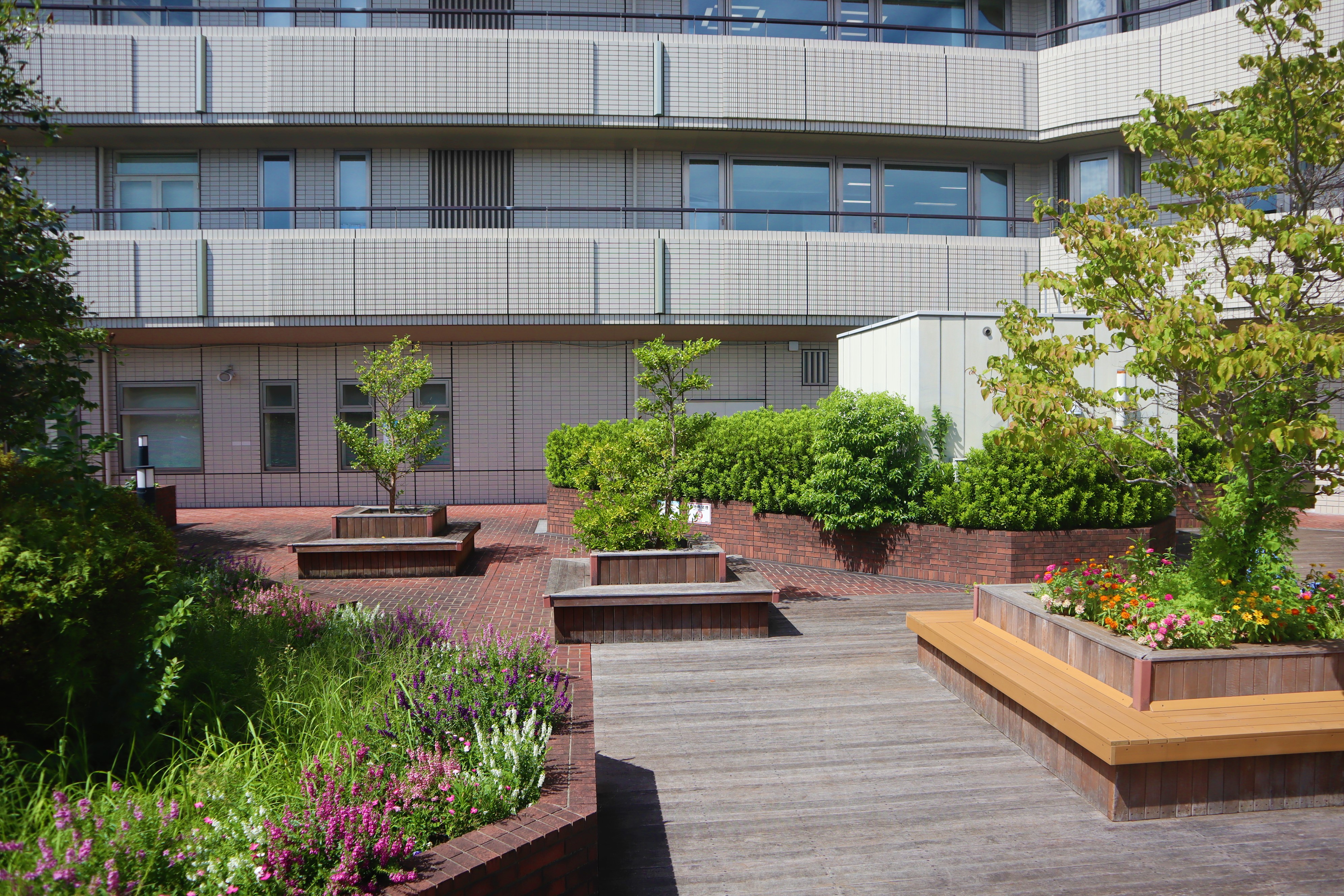 緑あふれる広場