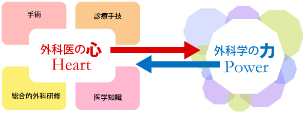 外科学の力
