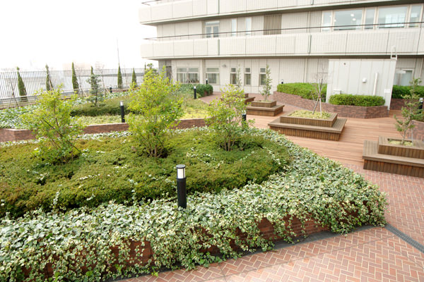 屋上庭園