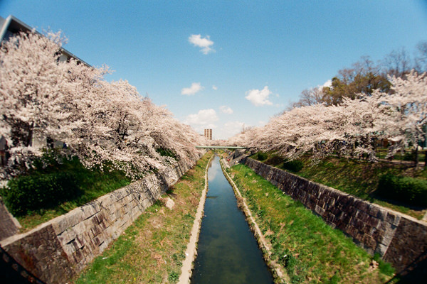 山崎川