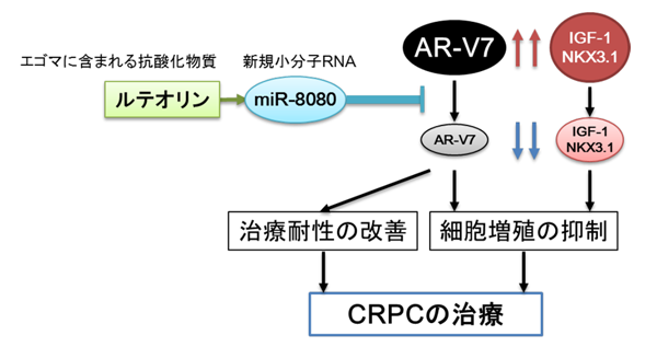 図3